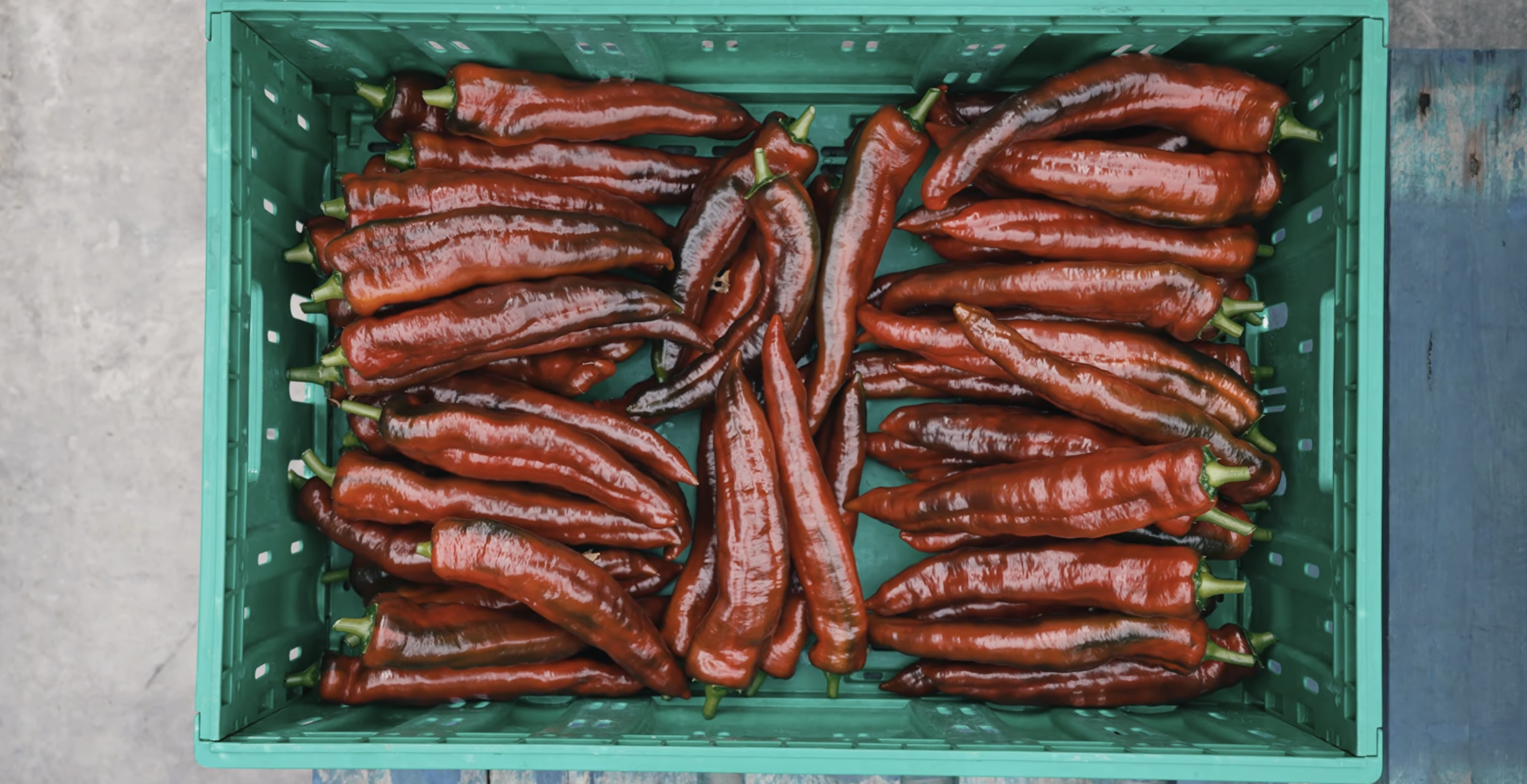 Peppers